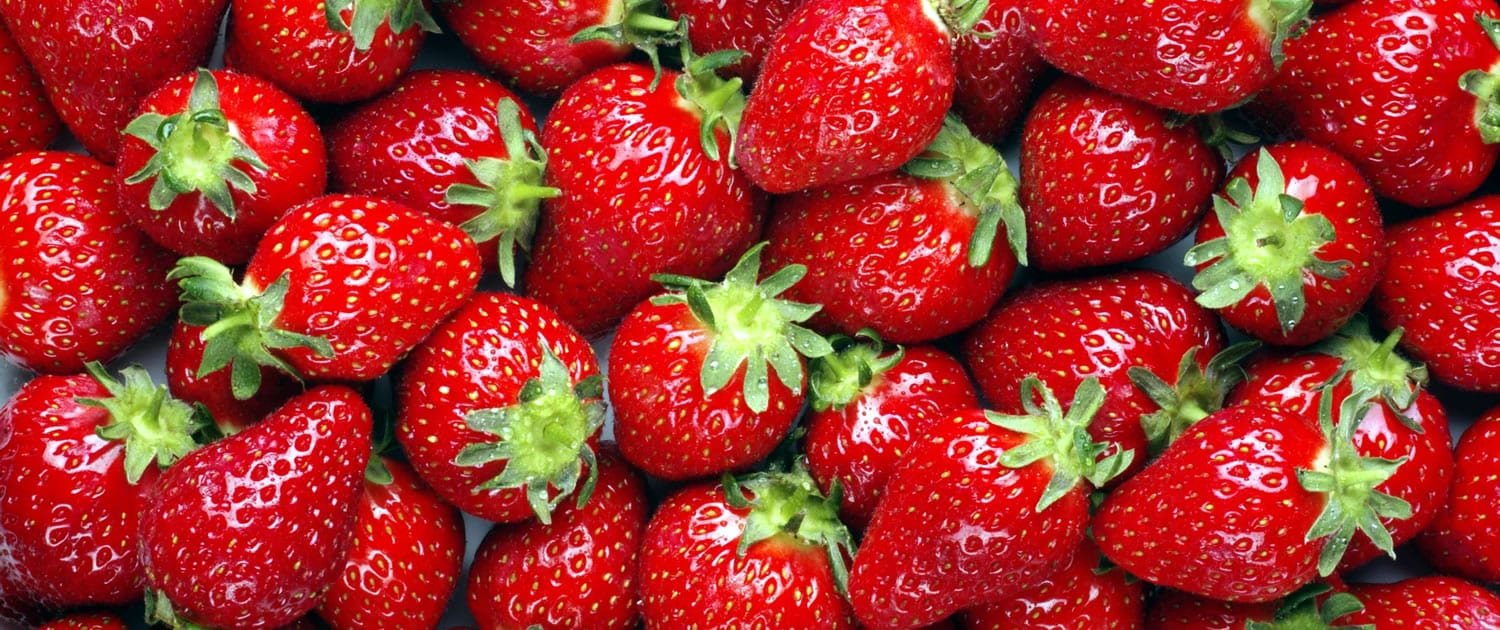Fresh Fruits & Vegetables from Kenya - Envisage Ltd.